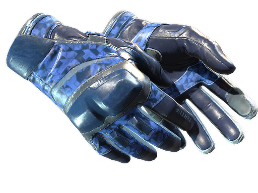 ★ Moto Gloves | Polygon