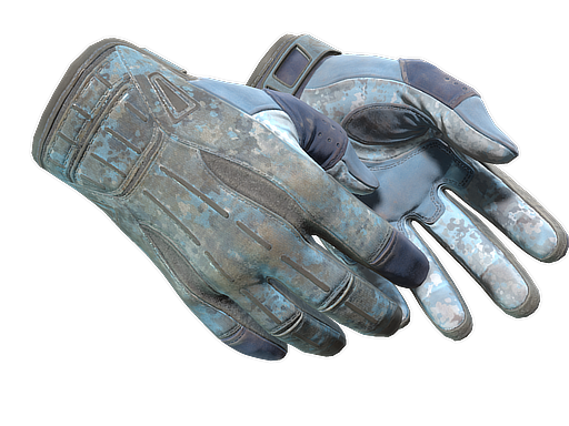 ★ Sport Gloves | Frosty