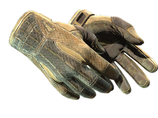 ★ Sport Gloves | Arid