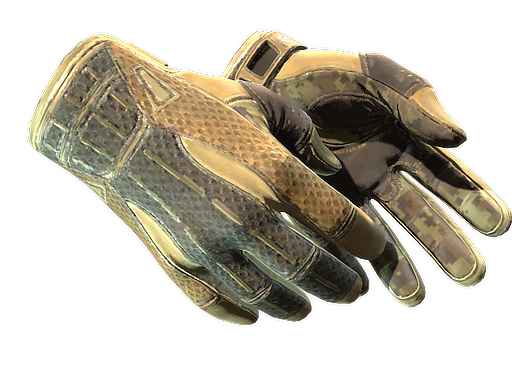 ★ Sport Gloves | Arid