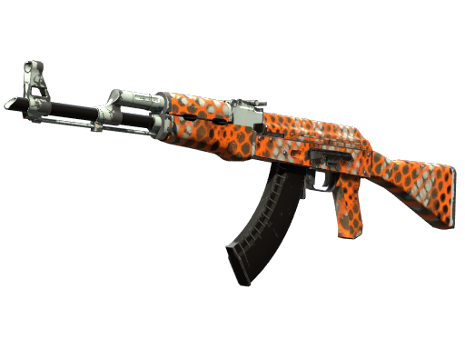 AK-47 | Safety Net