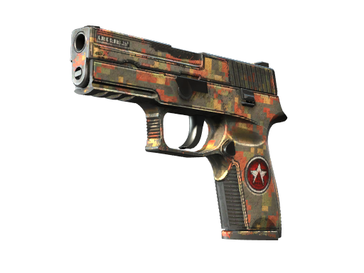 P250 | Red Rock