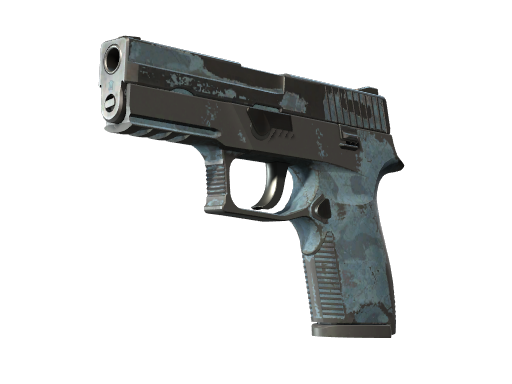 P250 | Forest Night