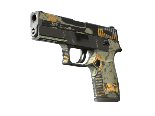 P250 | Modern Hunter