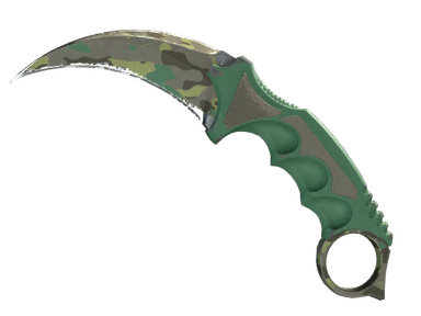 ★ Karambit | Boreal Forest (Well-Worn) skin