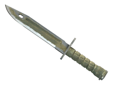 ★ Bayonet | Safari Mesh (Battle-Scarred) skin